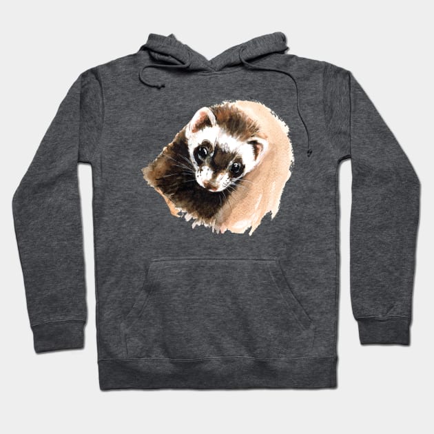Ferret outlet with hoodie